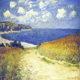 Monet Test